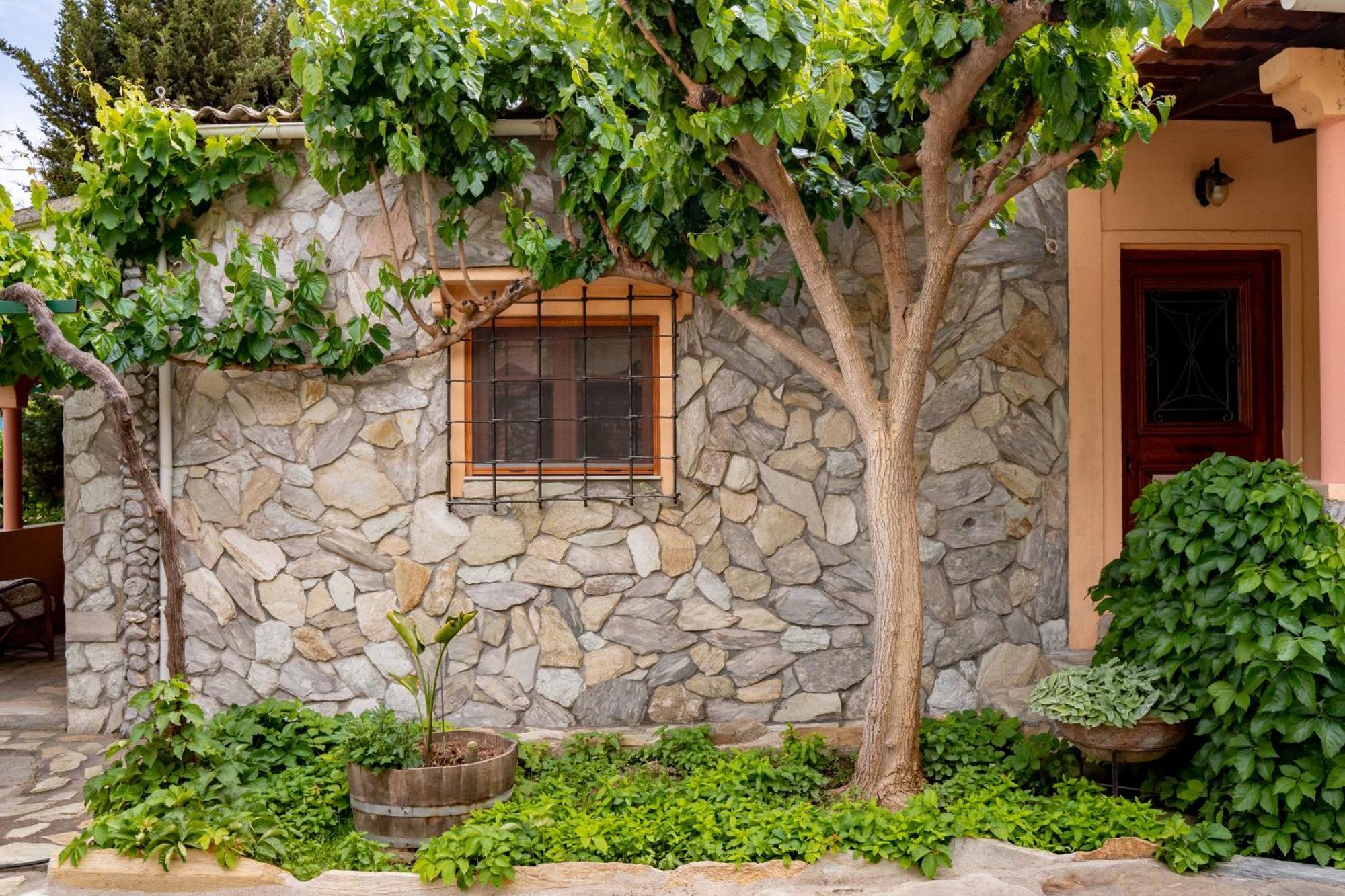 DM Elegant&Charming Villa Foinikiá Exterior foto